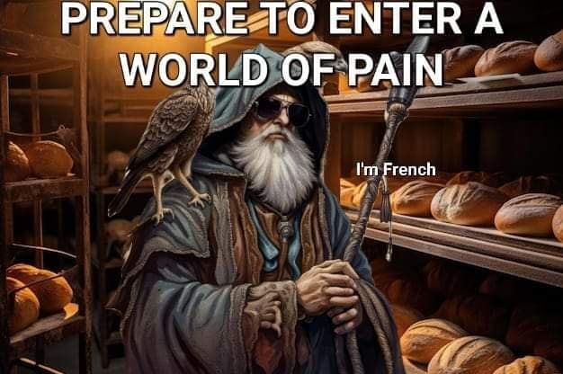 Wizard Memes PREPARE TO ENTER A WORLD OF PAIN I'm French