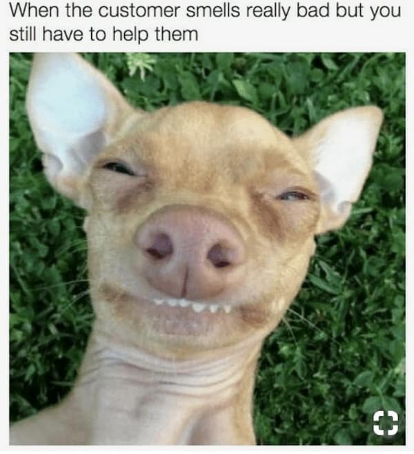 work memes, office humor