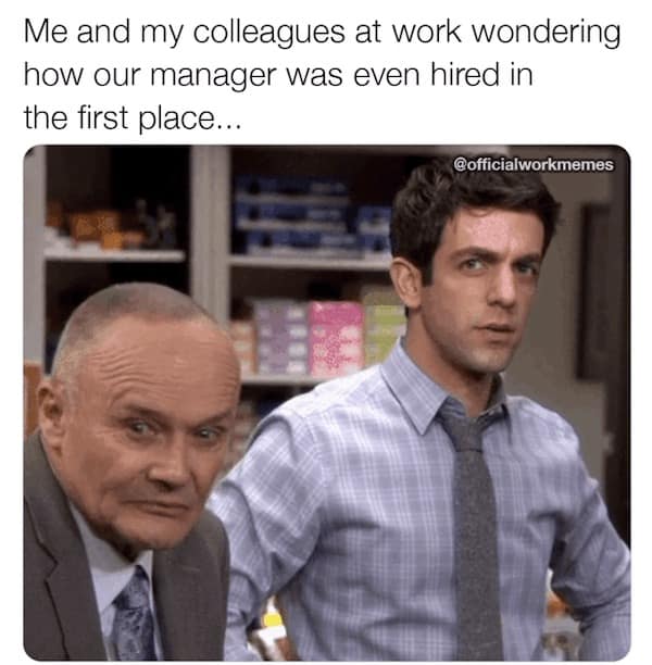 work memes, office humor