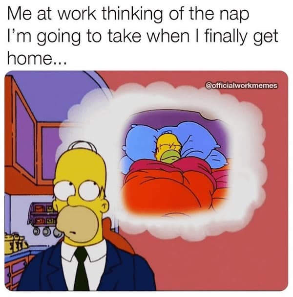 work memes, office humor