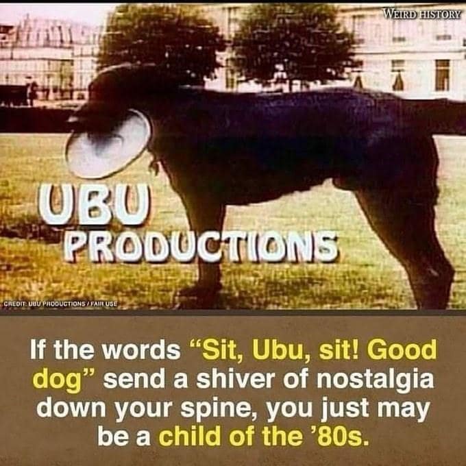 90s memes, nostalgia pics, 90s nostalgia, 0s throwback memes, LOLworthy memes, Classic internet pics