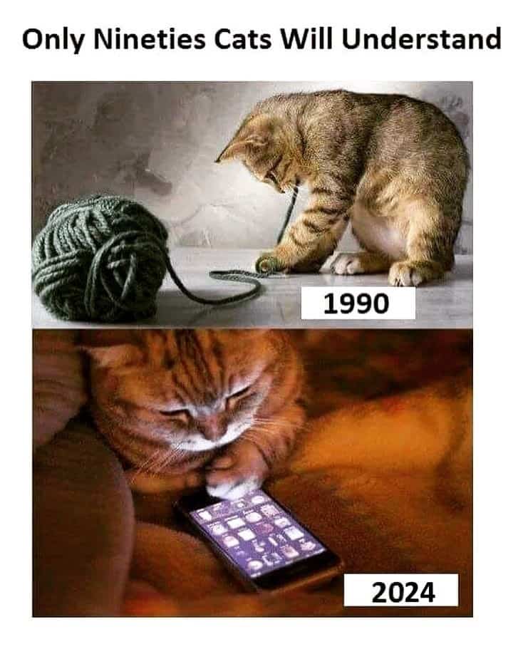 Only Nineties Cats Will Understand