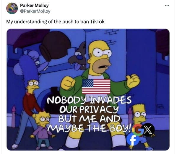 TikTok ban tweets, TikTok ban memes, TikTok ban, TikTok memes, social media humor, internet culture, TikTokocalypse tweets, TikTok ban jokes, viral tweets