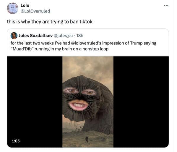 TikTok ban tweets, TikTok ban memes, TikTok ban, TikTok memes, social media humor, internet culture, TikTokocalypse tweets, TikTok ban jokes, viral tweets