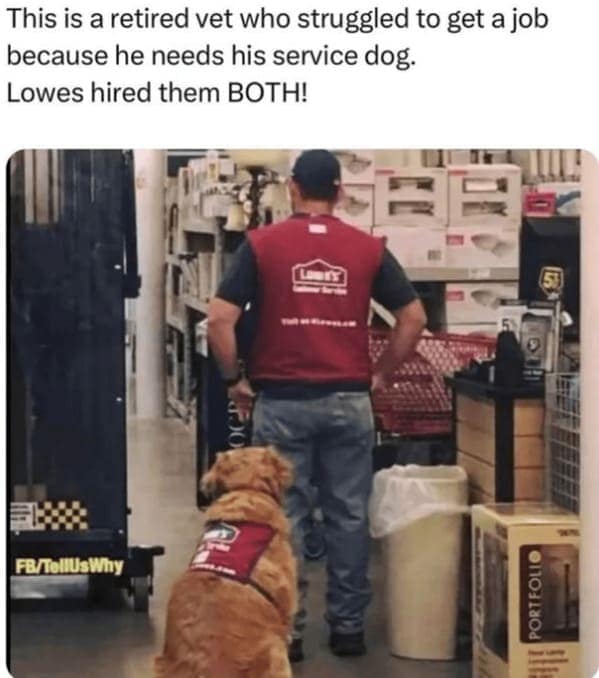 animal memes, pet memes, hilarious cat memes, amusing kitty memes, pet humor, dog humor, animal humor, dog memes