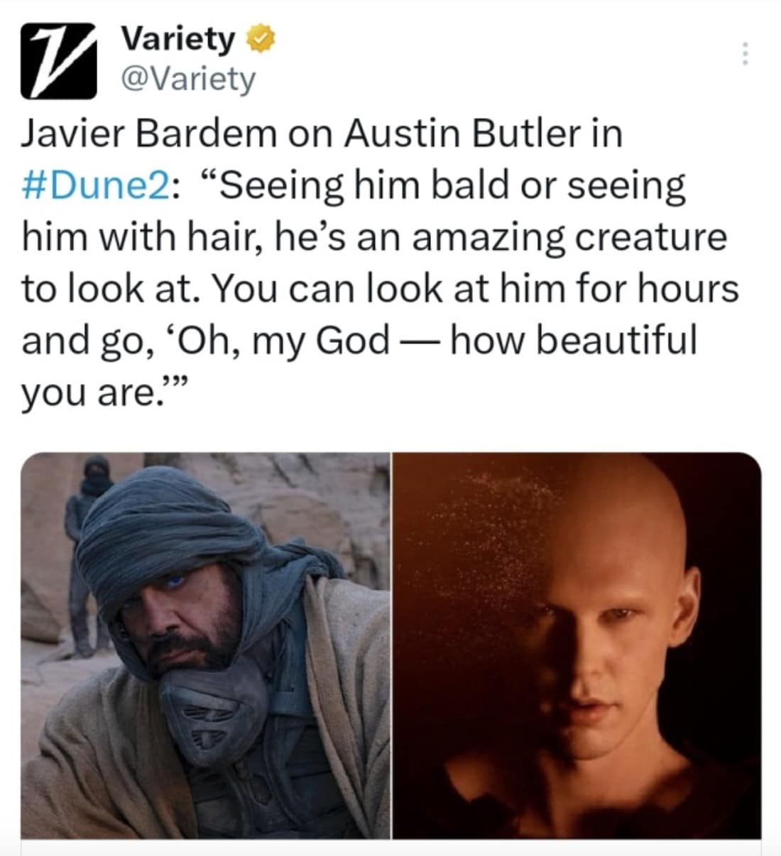 austin butler bald memes, dune 2 memes, austin butler bald