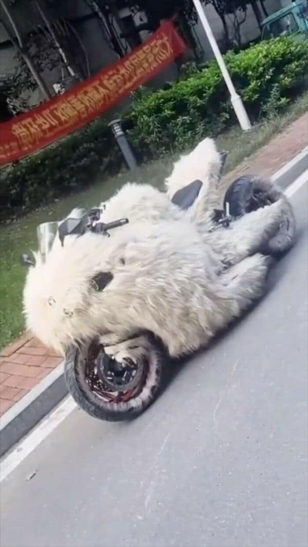 bad designs, design fails, epic design disasters, creative mishaps, design flaws, aesthetic disasters, bizarre design choices