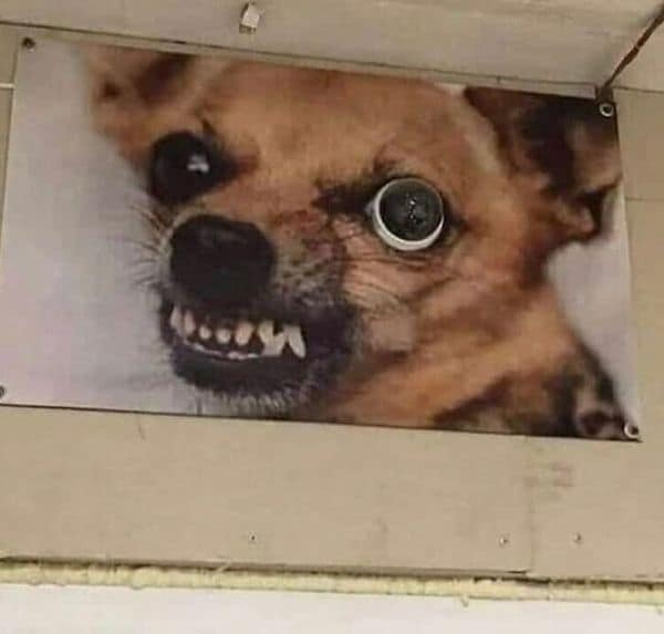 bad designs, design fails, epic design disasters, creative mishaps, design flaws, aesthetic disasters, bizarre design choices