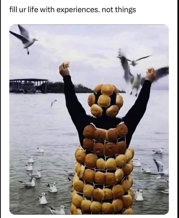 birding memes, bird watching memes, birdwatching memes, birdwatching humor, ornithology jokes, avian enthusiasts, bird memes, feathered funnies, birdwatcher humor