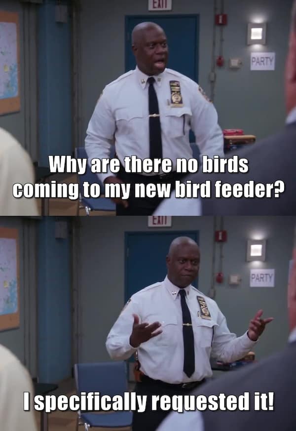 birding memes, bird watching memes, birdwatching memes, birdwatching humor, ornithology jokes, avian enthusiasts, bird memes, feathered funnies, birdwatcher humor