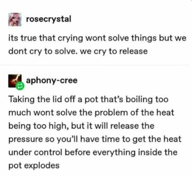 Brain memes Taking the lid off a pot that's boiling too much wont solve the problem of the heat being too high, but it will release the pressure so you'll have time to get the heat under control before everything inside the pot explodes