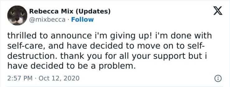 Brain memes thrilled to announce i'm giving up! i'm done with self-care, and have decided to move on to self-destruction. thank you for all your support but i have decided to be a problem.