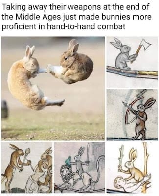 bunny memes, rabbit memes, Easter bunny memes, easter memes, Cute bunny memes