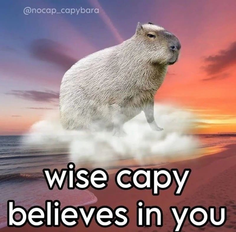 capybara memes, capybara jokes, absurd comedy, oversized rodent humor, comical wildlife memes