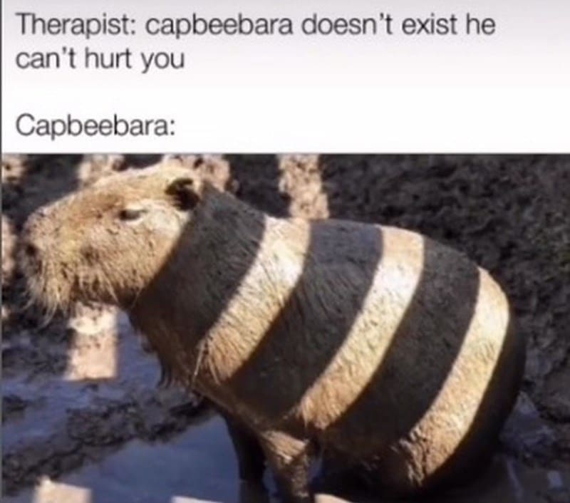 capybara memes, capybara jokes, absurd comedy, oversized rodent humor, comical wildlife memes