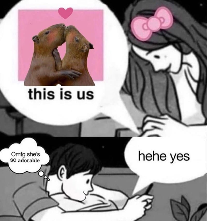 capybara memes, capybara jokes, absurd comedy, oversized rodent humor, comical wildlife memes