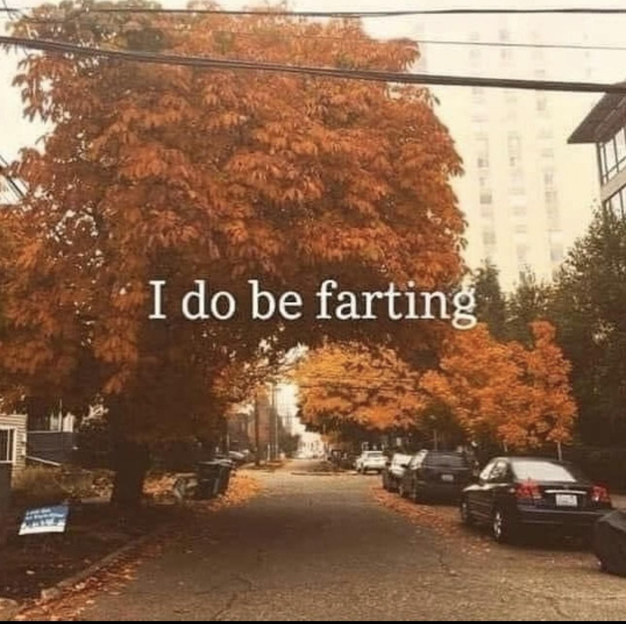 classic memes, vintage memes, best memes, nternet Culture, Nostalgic Humor, Viral Sensations, old Memes, Retro Internet Jokes, Timeless Online Humor