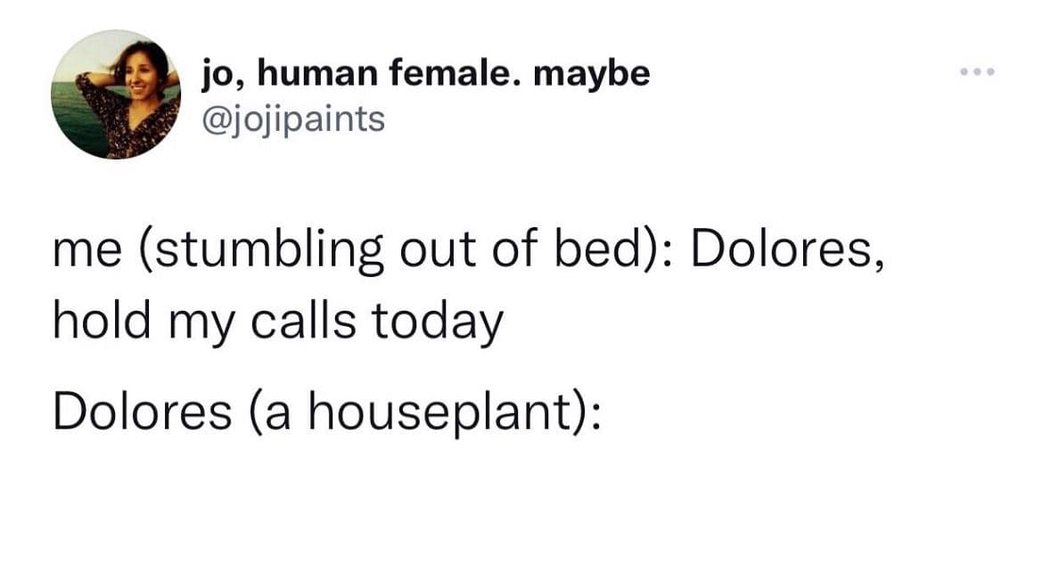 classic memes, vintage memes, viral tweets, best memes, old memes, vintage internet humor, internet nostalgia, best tweets, timeless memes, retro internet humor, iconic viral content