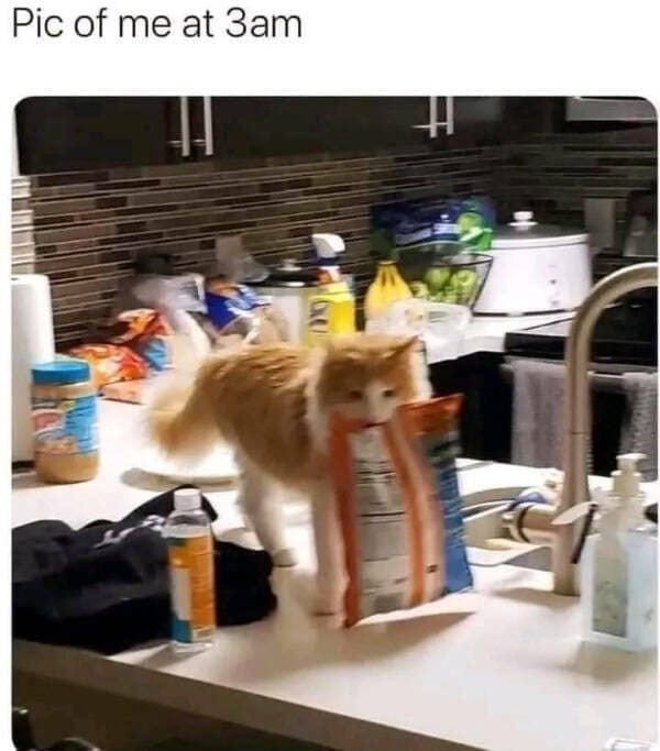 classic memes, viral tweets, vintage memes, old memes, iconic tweets, internet sensations