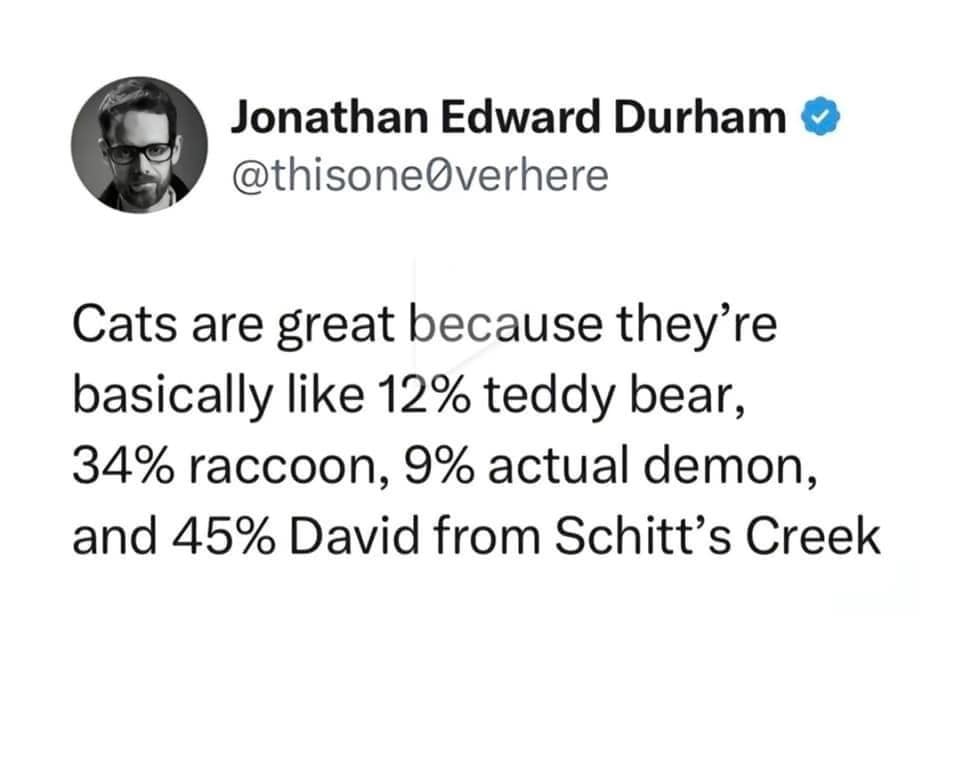 classic memes, vintage memes, viral tweets, Trending Memes, Popular Online Jokes, old memes, best memes