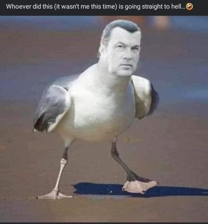 classic memes, vintage memes, viral tweets, Trending Memes, Popular Online Jokes, old memes, best memes