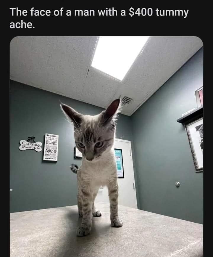 classic memes, vintage memes, viral tweets, old memes, best memes, Funny Memes of the Past, Iconic Internet Humor, Legendary Memes, Timeless Internet Jokes, Nostalgic Viral Posts