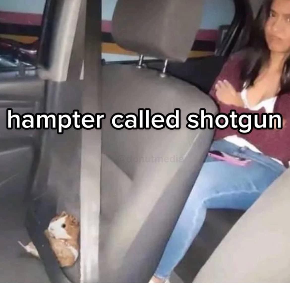 classic memes, viral tweets, vintage memes, old memes, iconic tweets, internet sensations