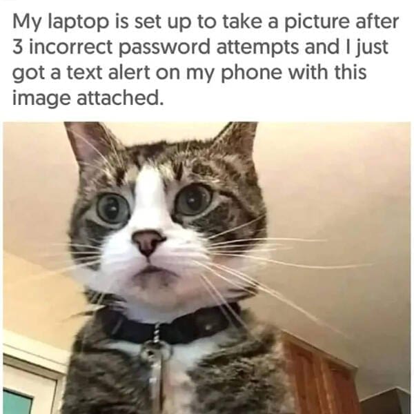 classic memes, viral tweets, vintage memes, old memes, iconic tweets, internet sensations