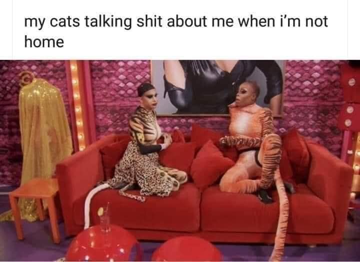 classic memes, vintage memes, imeless humor, internet nostalgia, old memes, best memes