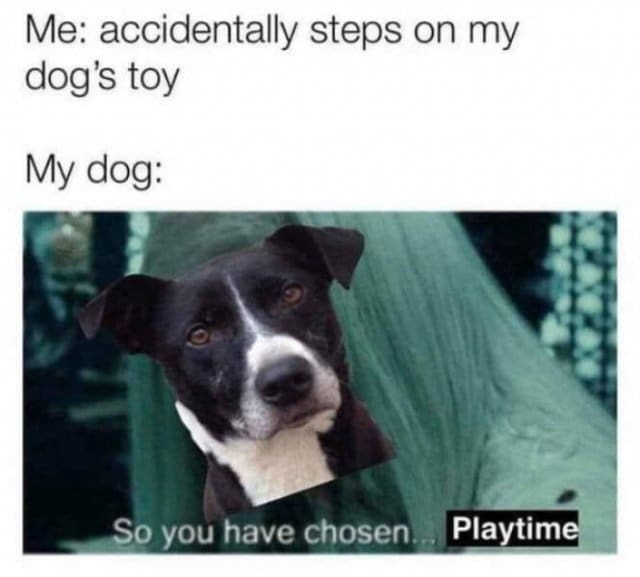 classic memes, viral tweets, vintage memes, old memes, iconic tweets, internet sensations