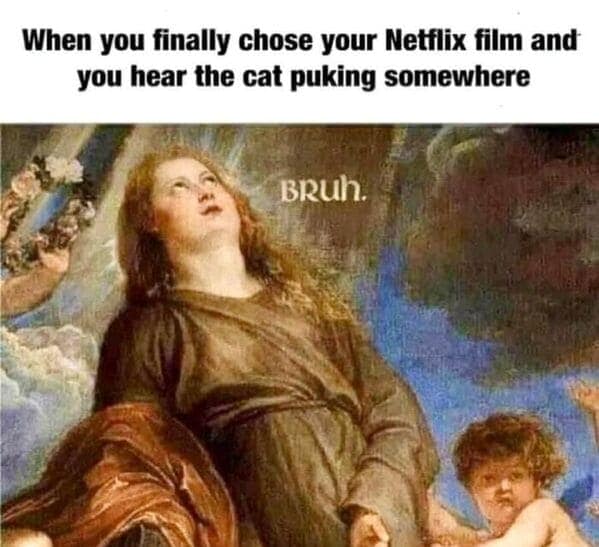 When you finally chose your Netflix film and you hear the cat puking somewhere