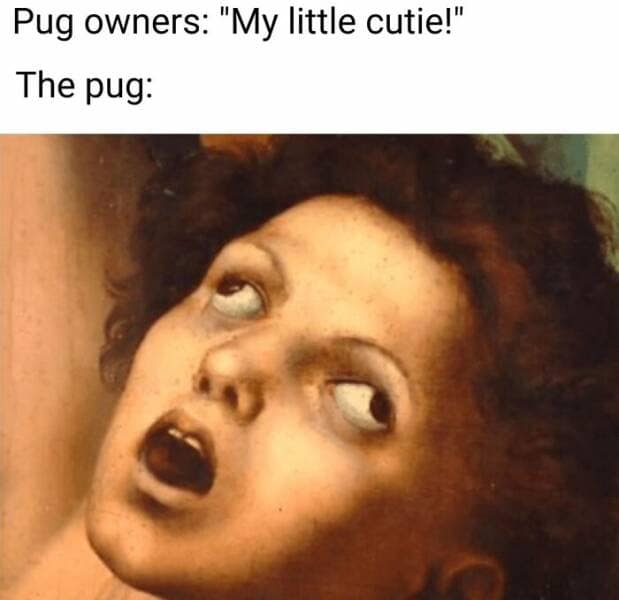 classical art memes, renaissance memes, Renaissance humor, Baroque art jokes, ancient artwork memes, art history memes,