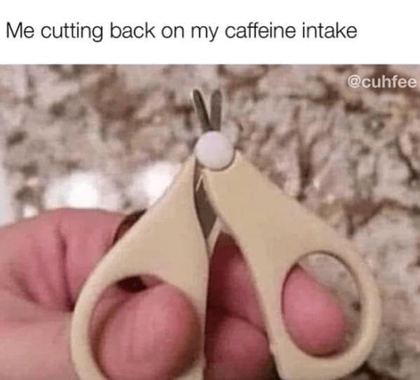 coffee memes, coffee meme, funny coffee quotes, Hilarious Coffee Sayings, Witty Coffee Puns