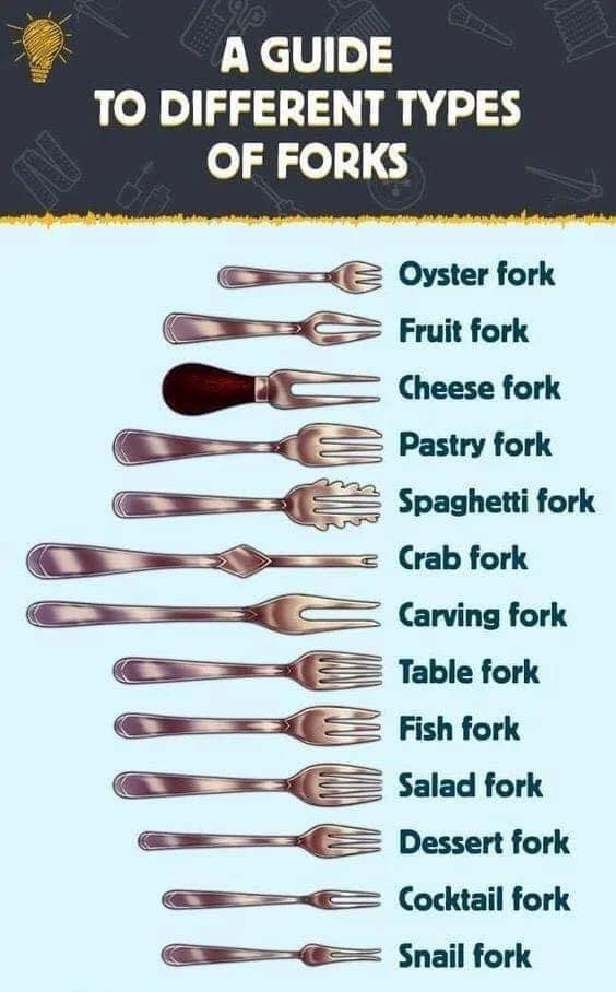 A GUIDE TO DIFFERENT TYPES OF FORKS