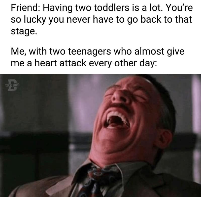 dad memes, dad jokes, father humor, cringe-worthy humor, paternal memes, papa jokes, parental humor