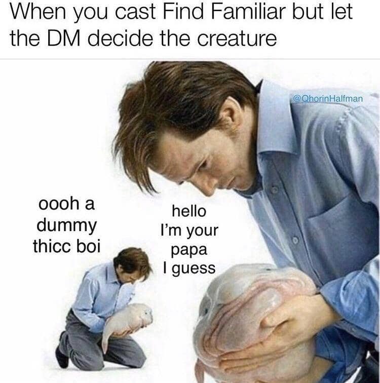 D&d memes, dnd memes, d&d memes funny, Dungeons & Dragons memes, Dungeons & Dragons, Dungeons & Dragons humor, tabletop gaming jokes, RPG memes, dungeon memes, fantasy game humor, role-playing comedy