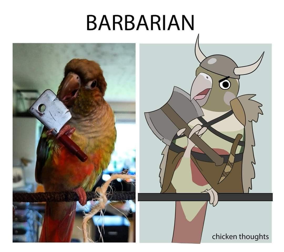 d&d memes, dnd memes, dungeons & dragons memes, dnd memes funny, d&d memes funny