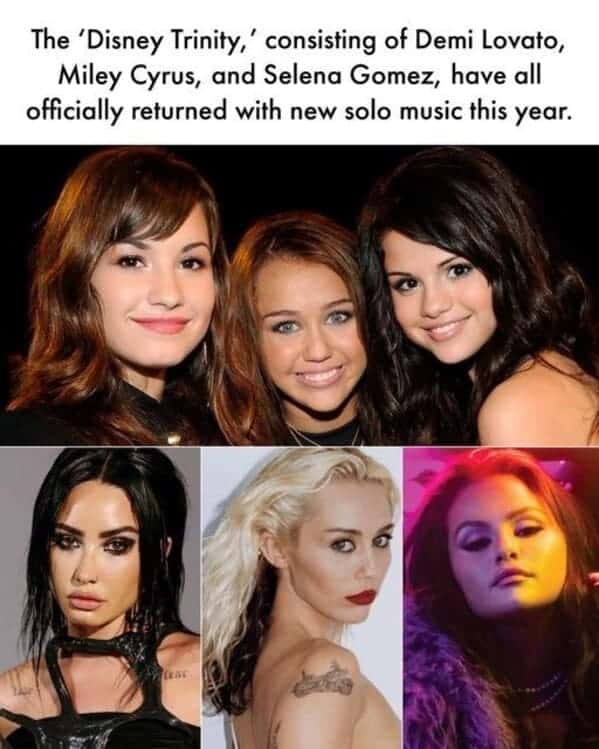 Disney memes, witty disney humor, musing Disney Gags, Clever Animated Funnies