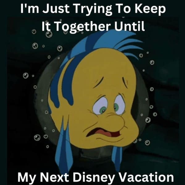 Disney memes, witty disney humor, musing Disney Gags, Clever Animated Funnies