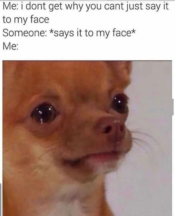 dog memes, pet jokes, doggo memes, anine humor, furry friends, pup memes, doggo humor, tail-wagging jokes