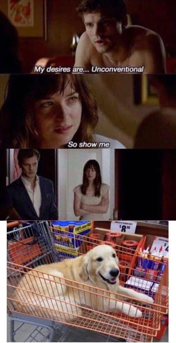 dog memes, pet jokes, doggo memes, anine humor, furry friends, pup memes, doggo humor, tail-wagging jokes