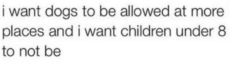 dog memes, doggo memes, funny dog memes, hilarious dog memes, best dog memes, canine memes, pup memes, amusing dog memes