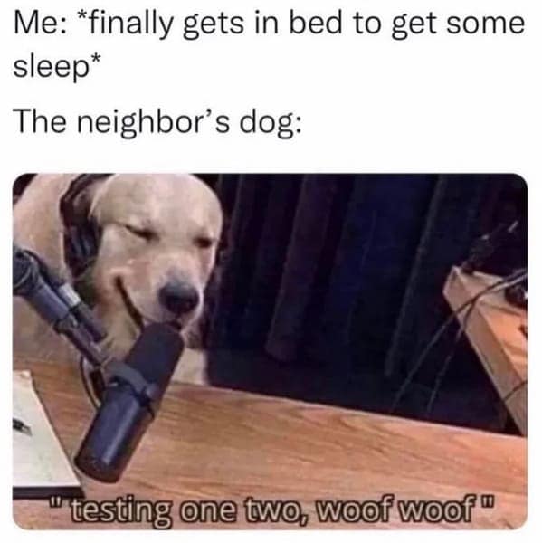 dog memes, pet jokes, doggo memes, anine humor, furry friends, pup memes, doggo humor, tail-wagging jokes