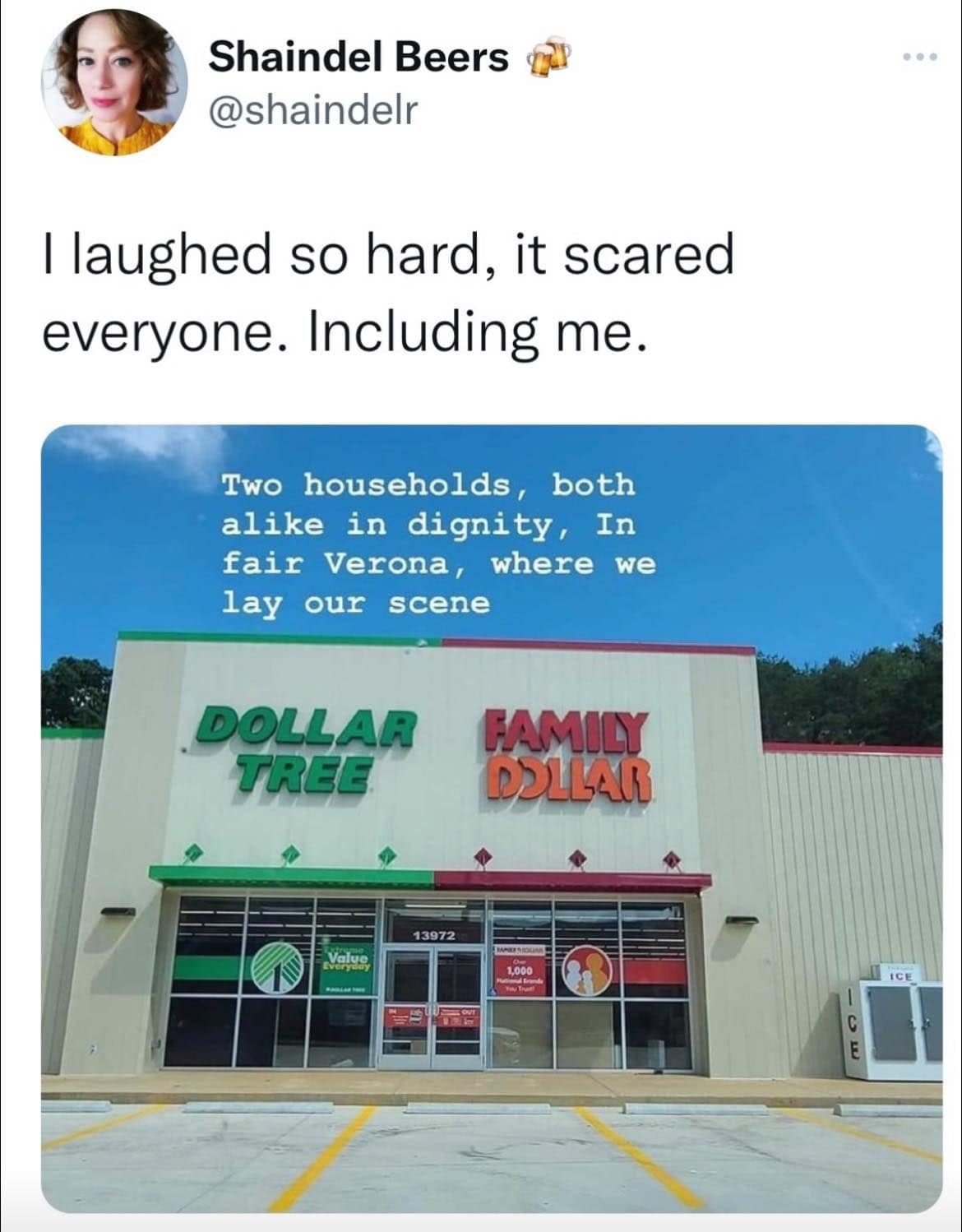 dollar tree memes, family dollar memes, dollar tree closure, family dollar closure, discount retail humor, bargain shopping memes, store closure comedy, dollar store jokes, discount retailer humor, retail memes