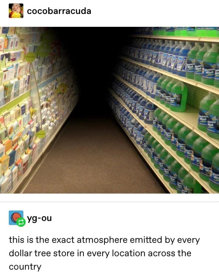 dollar tree memes, family dollar memes, dollar tree closure, family dollar closure, discount retail humor, bargain shopping memes, store closure comedy, dollar store jokes, discount retailer humor, retail memes