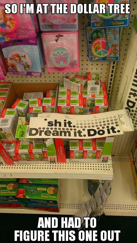 dollar tree memes, family dollar memes, dollar tree closure, family dollar closure, discount retail humor, bargain shopping memes, store closure comedy, dollar store jokes, discount retailer humor, retail memes