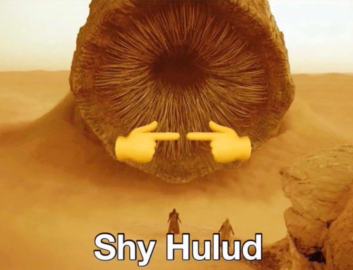 dune 2 movies, dune two memes, dune part two memes, dune part 2 memes, Arrakis humor, sci-fi meme collection, Desert humor, spice-filled memes, sandworm comedy