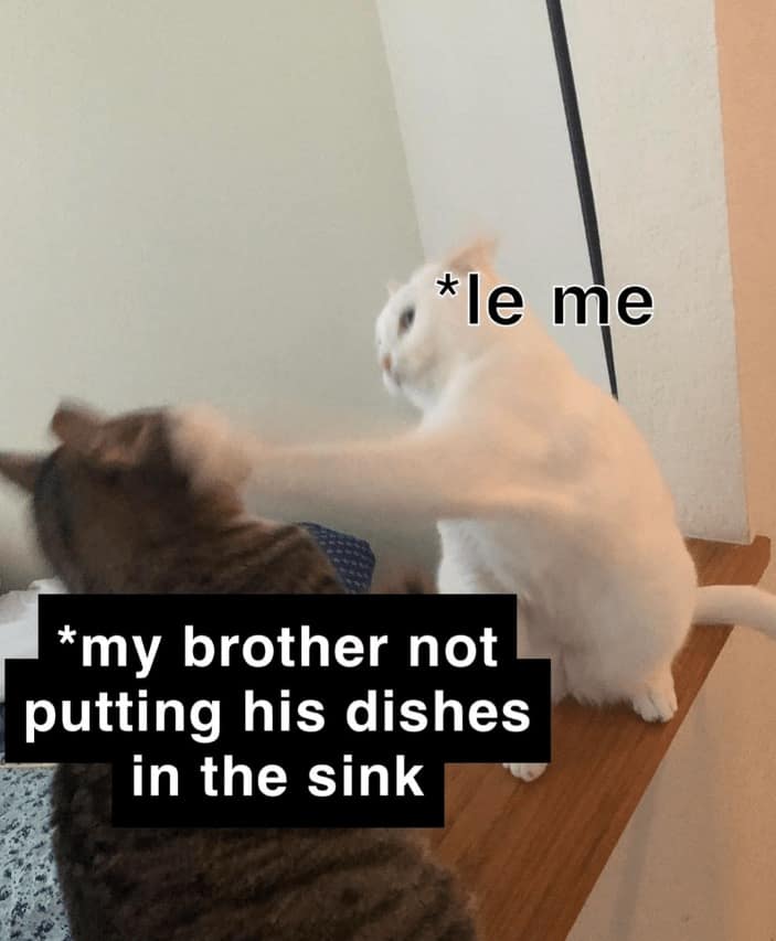 *le me *my brother not putting his dishes in the sink