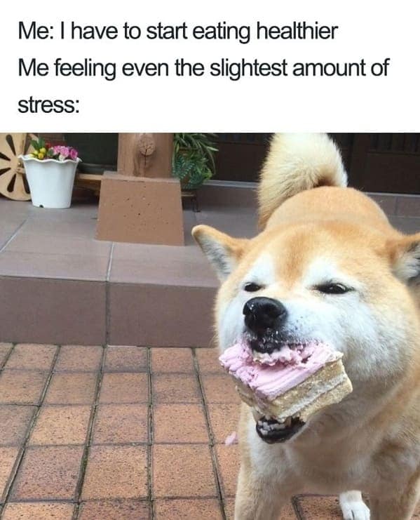 food memes, culinary humor, cooking jokes, food obsession, cuisine memes, gastronomic gags, dieting humor