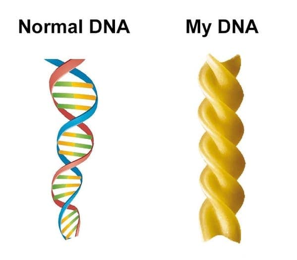 food memes, culinary humor, cooking jokes, food obsession, cuisine memes, gastronomic gags, dieting humor